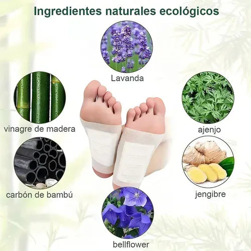 Purifica y relaja tu cuerpo mientras descansas 🌙 Kinoki Detox Natural💪🌿